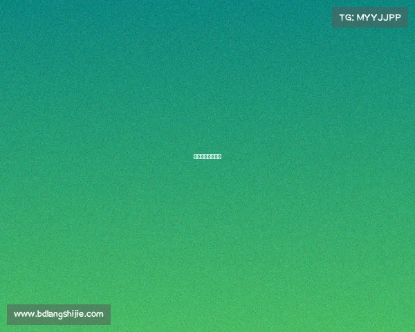 举办搏击赛事流程