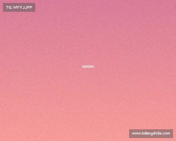 网球业余赛事排名