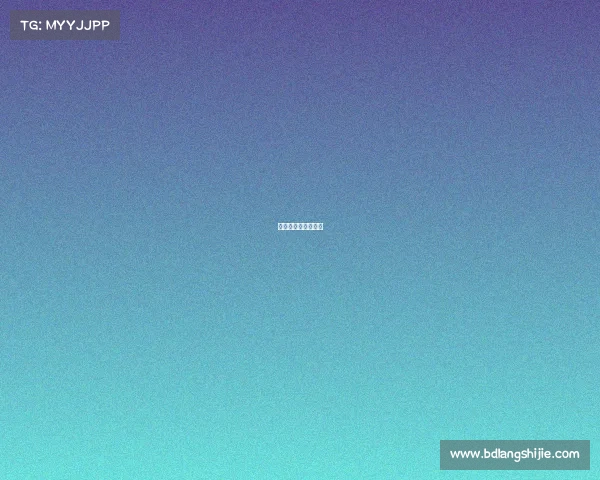 国内外主要赛事介绍