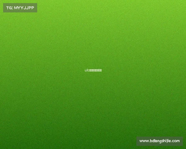 ufc都有哪些赛事名称